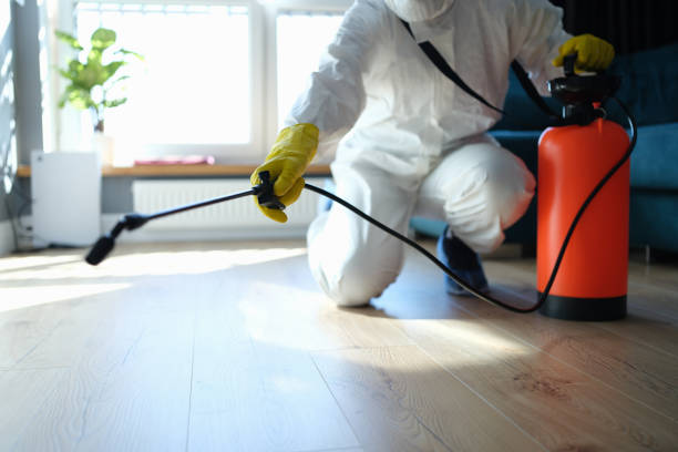Reliable Odor Removal contractor in Moxee, WA by Trauma Clean Pros